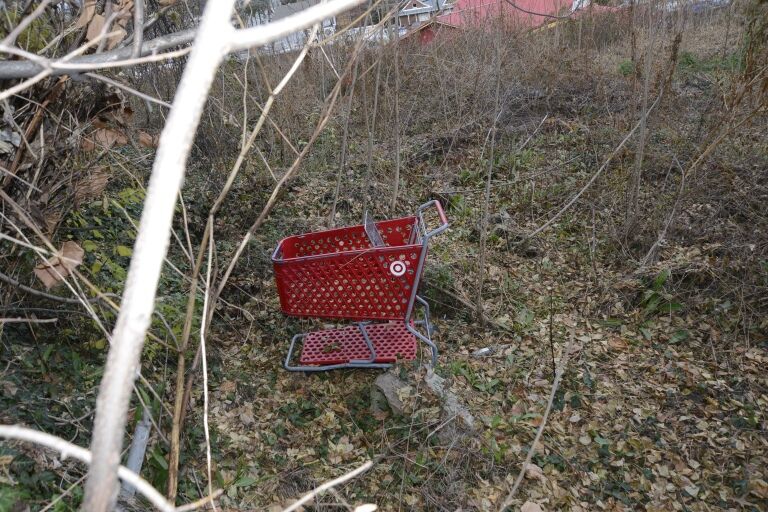 shopping-cart.jpg
